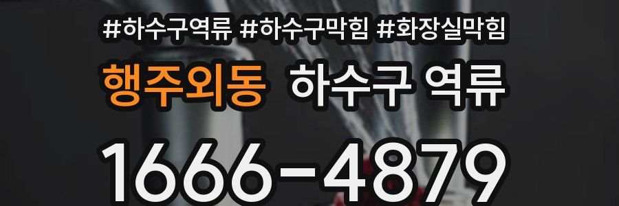 행주외동 하수구 역류