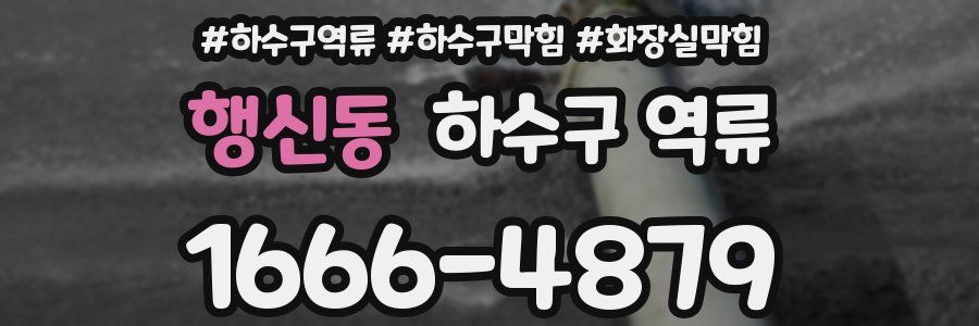 행신동 하수구 역류