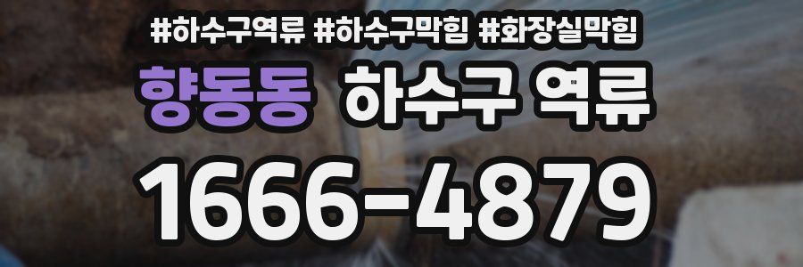 향동동 하수구 역류