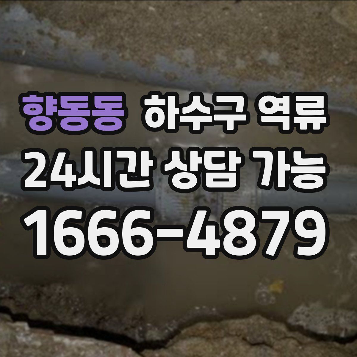 향동동 하수구 역류