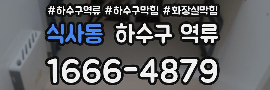 식사동 하수구 역류