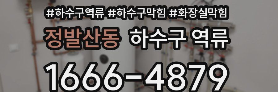 정발산동 하수구 역류
