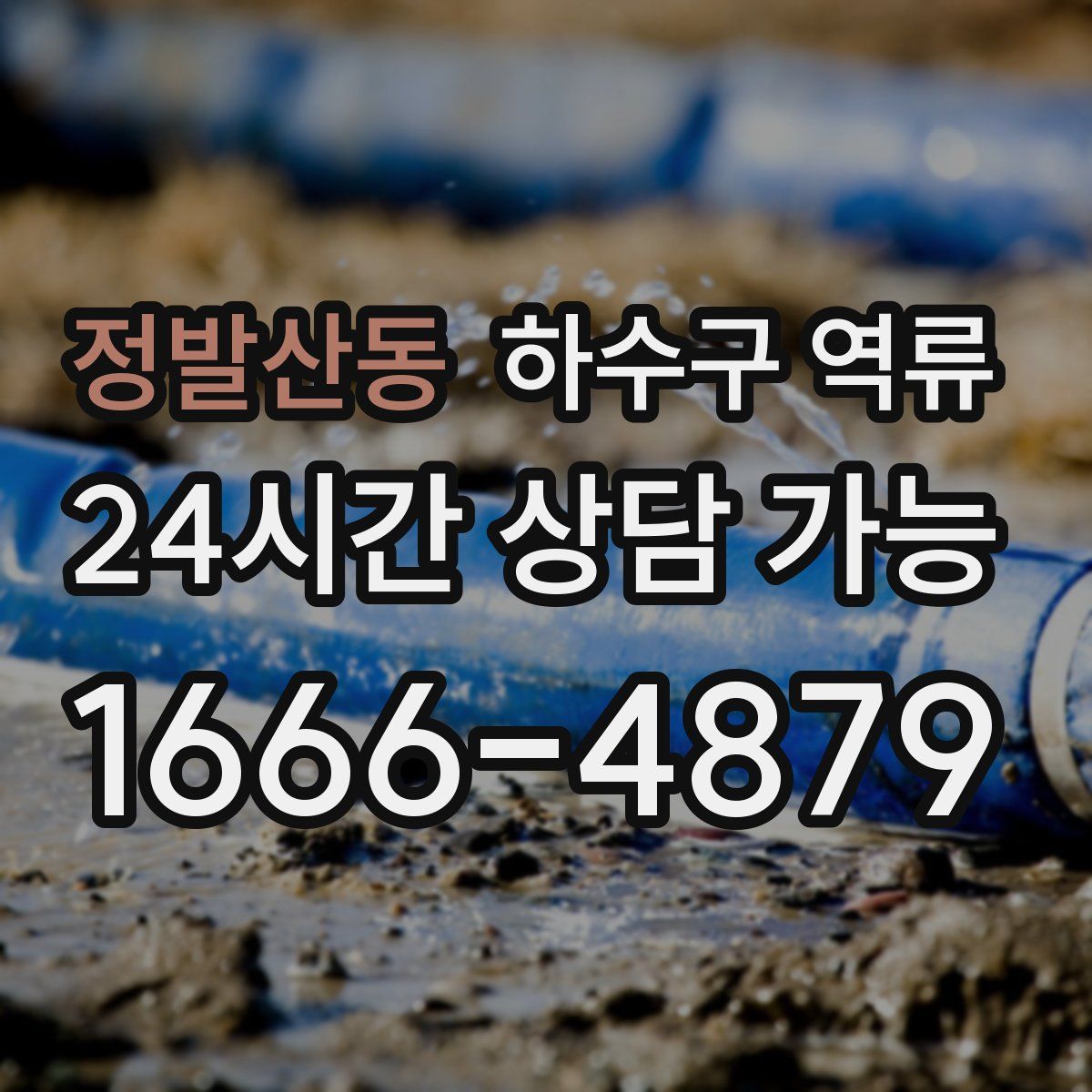 정발산동 하수구 역류