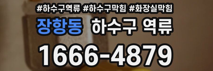 장항동 하수구 역류