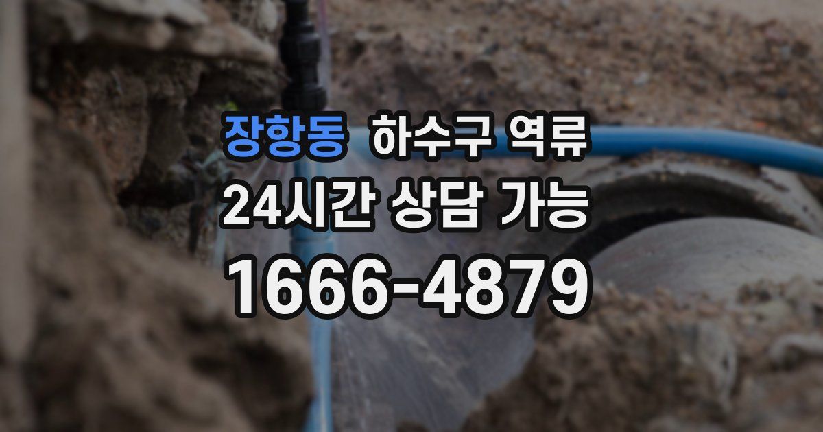 장항동 하수구 역류
