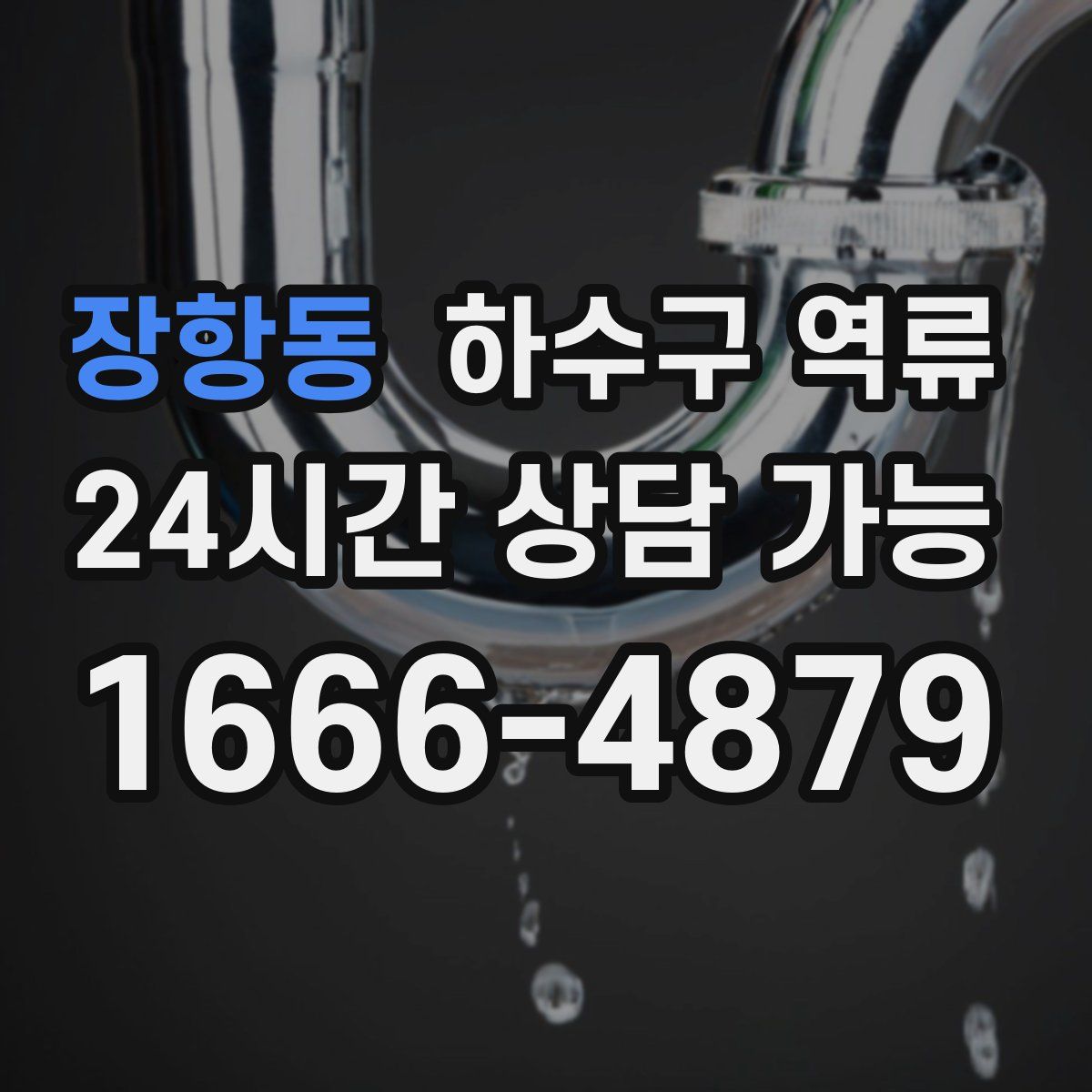 장항동 하수구 역류