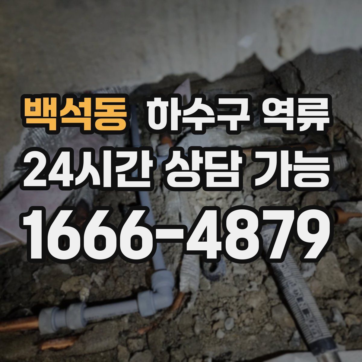 백석동 하수구 역류