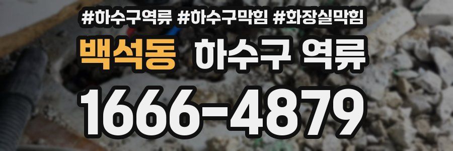 백석동 하수구 역류