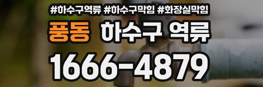 풍동 하수구 역류