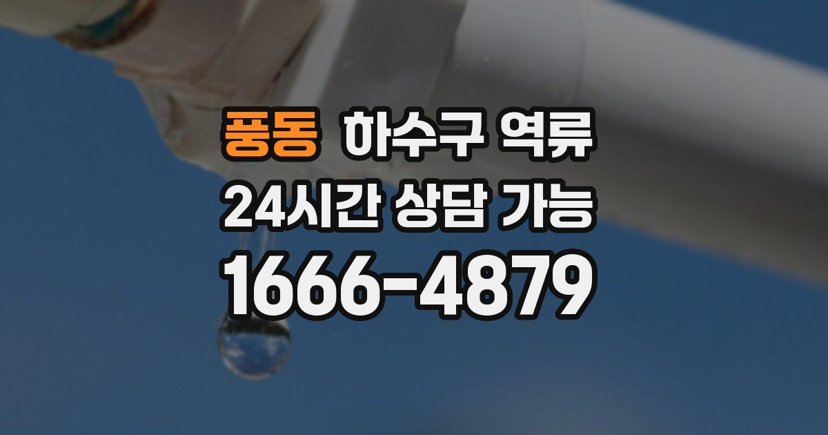 풍동 하수구 역류