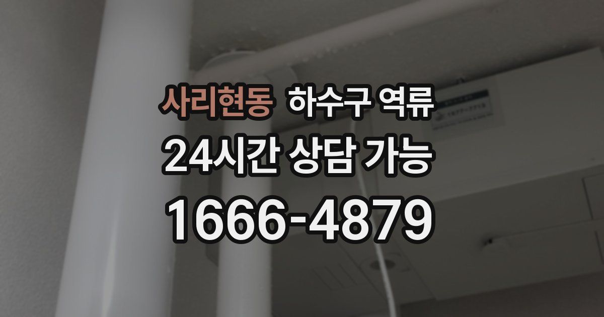 사리현동 하수구 역류