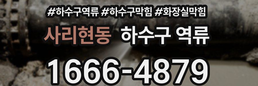 사리현동 하수구 역류