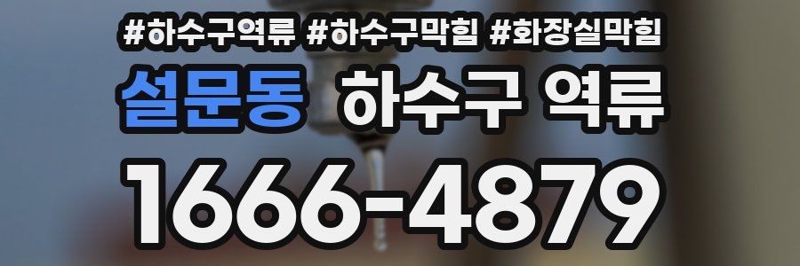 설문동 하수구 역류