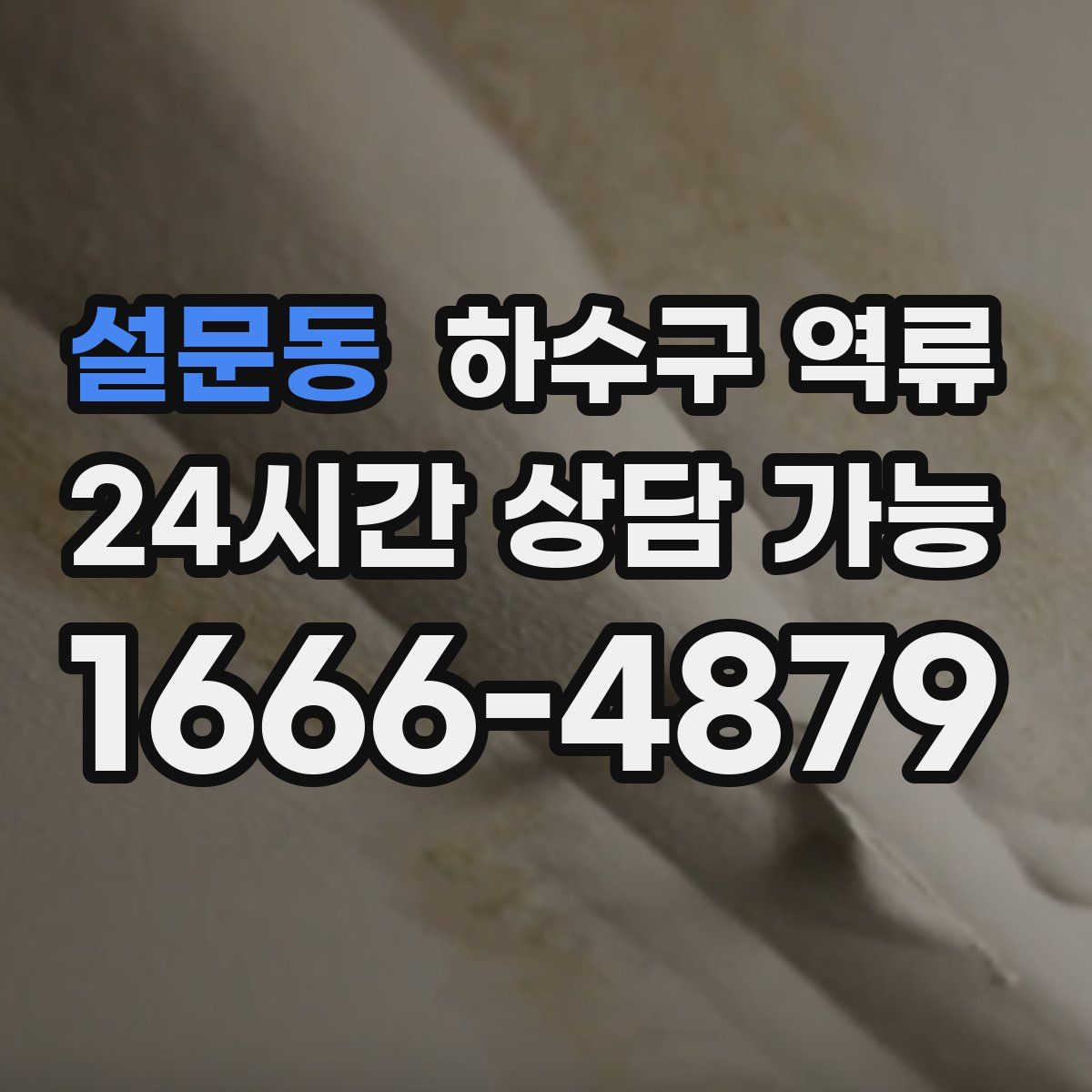 설문동 하수구 역류