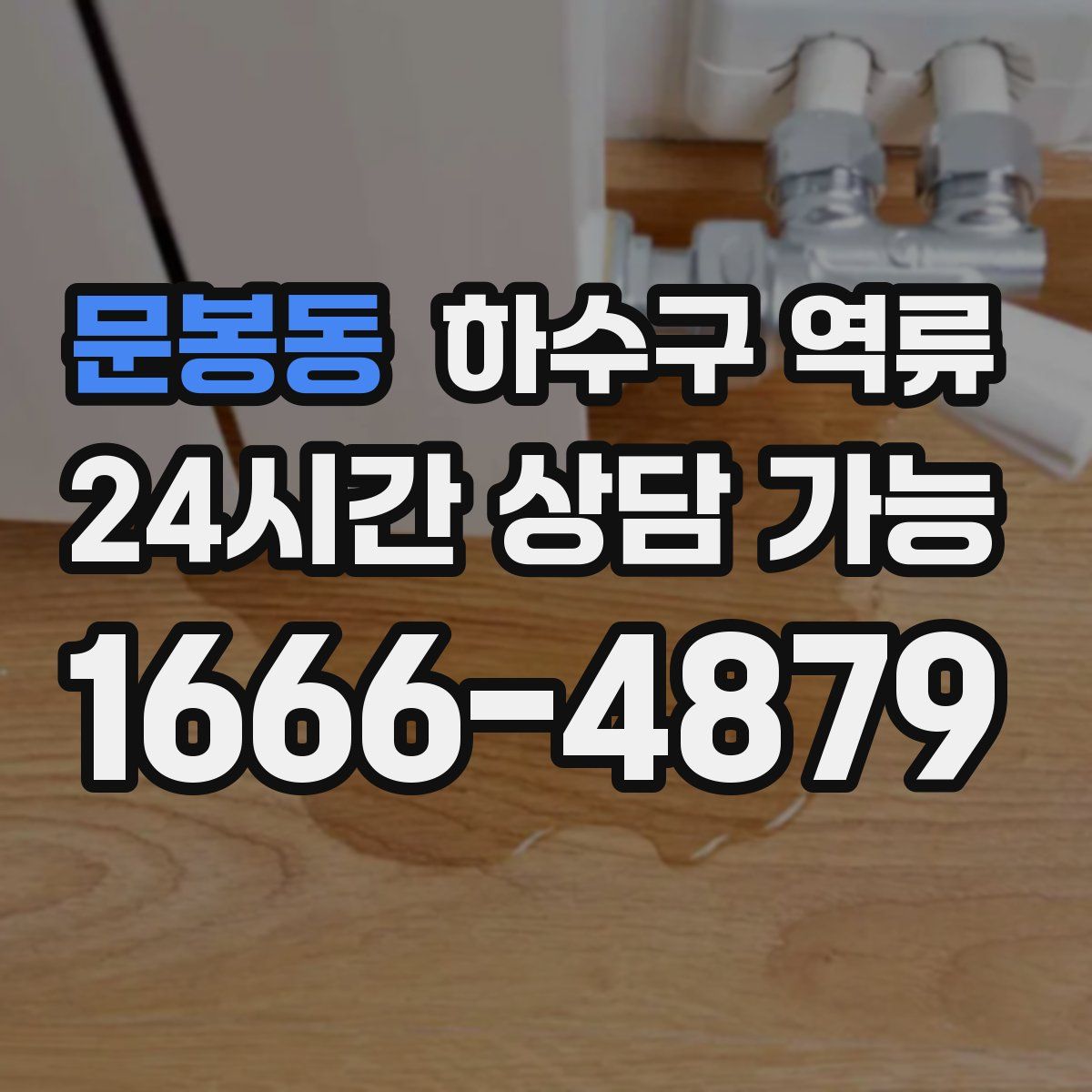 문봉동 하수구 역류