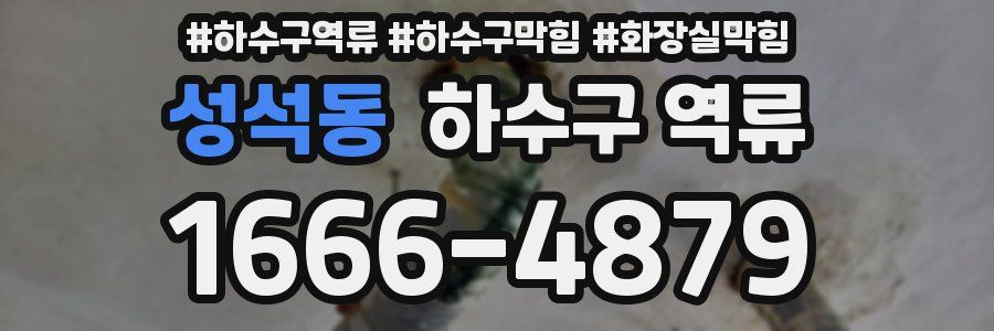 성석동 하수구 역류