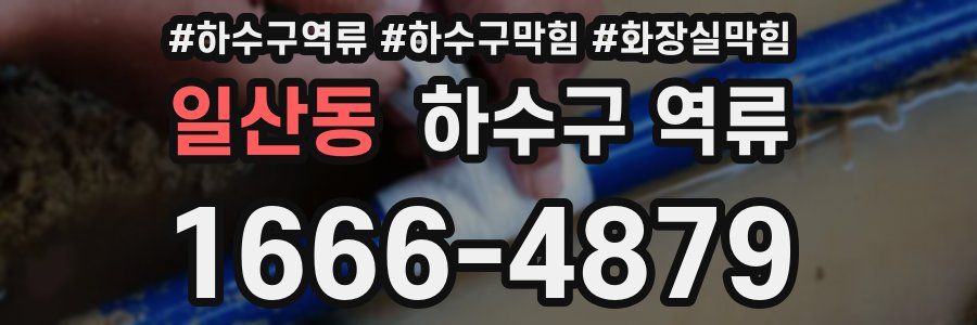 일산동 하수구 역류