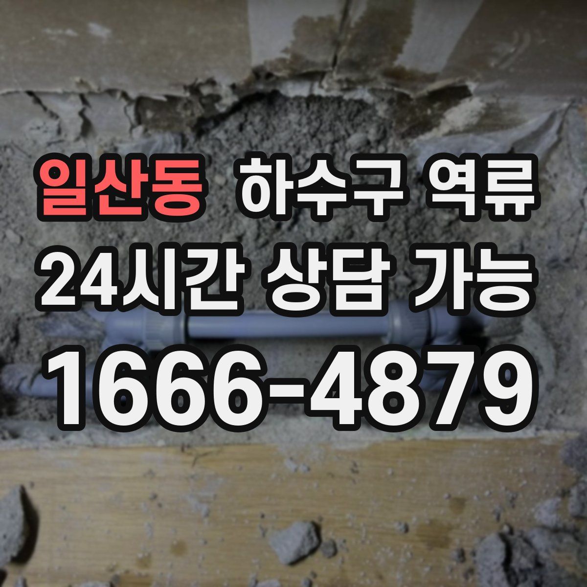 일산동 하수구 역류