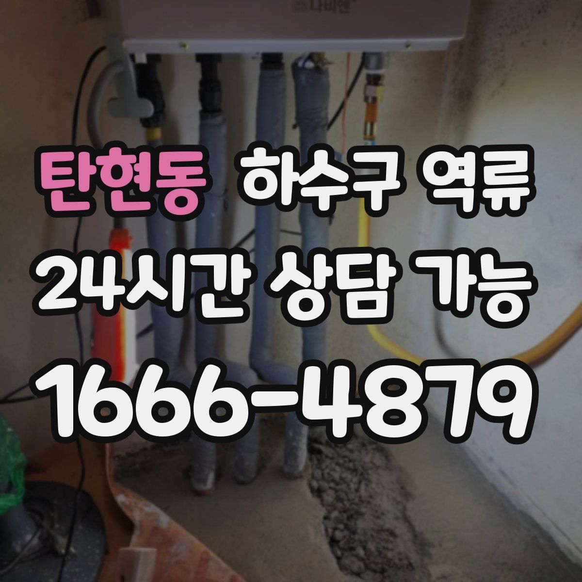 탄현동 하수구 역류