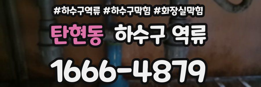 탄현동 하수구 역류