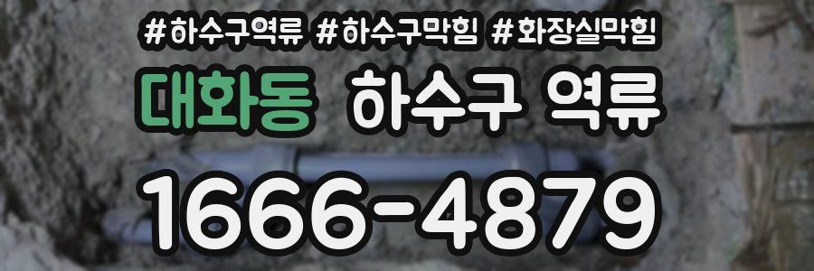 대화동 하수구 역류