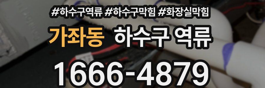 가좌동 하수구 역류