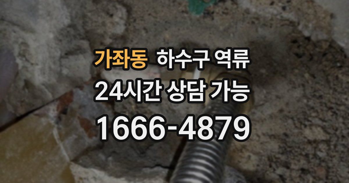 가좌동 하수구 역류