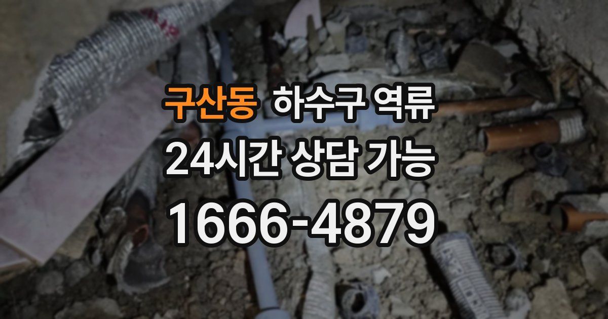 구산동 하수구 역류