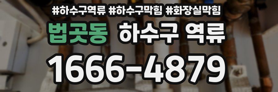 법곳동 하수구 역류