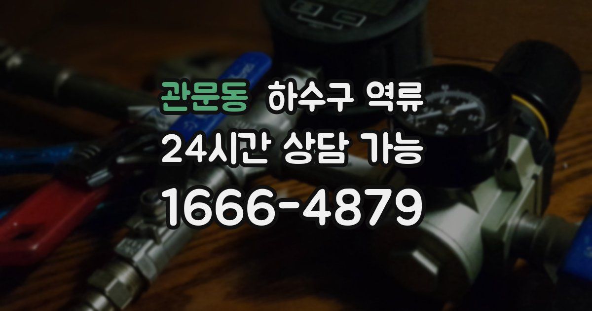 관문동 하수구 역류