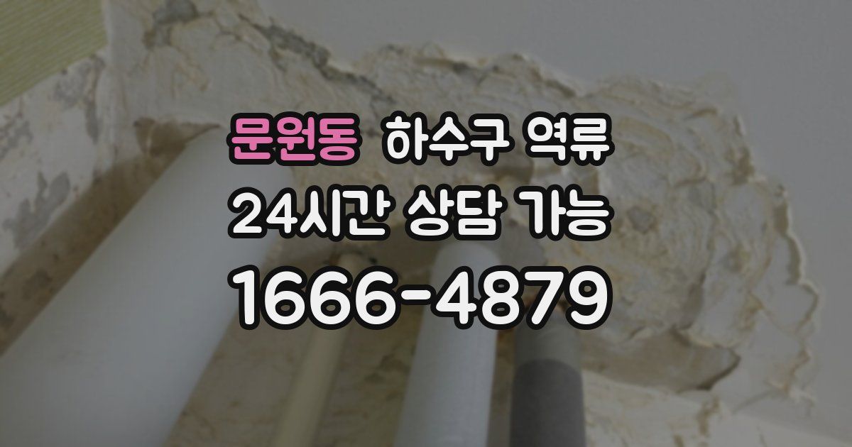 문원동 하수구 역류