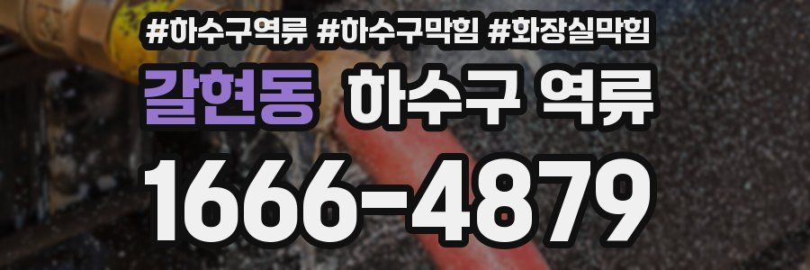 갈현동 하수구 역류