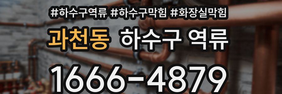 과천동 하수구 역류
