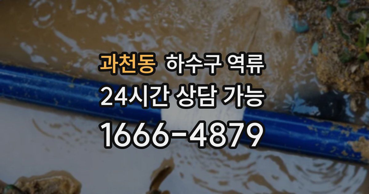 과천동 하수구 역류