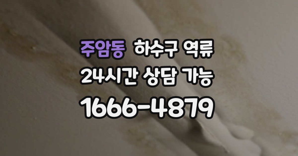 주암동 하수구 역류