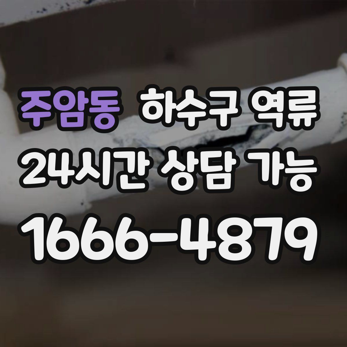 주암동 하수구 역류