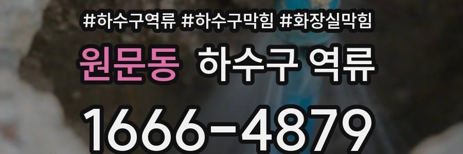 원문동 하수구 역류