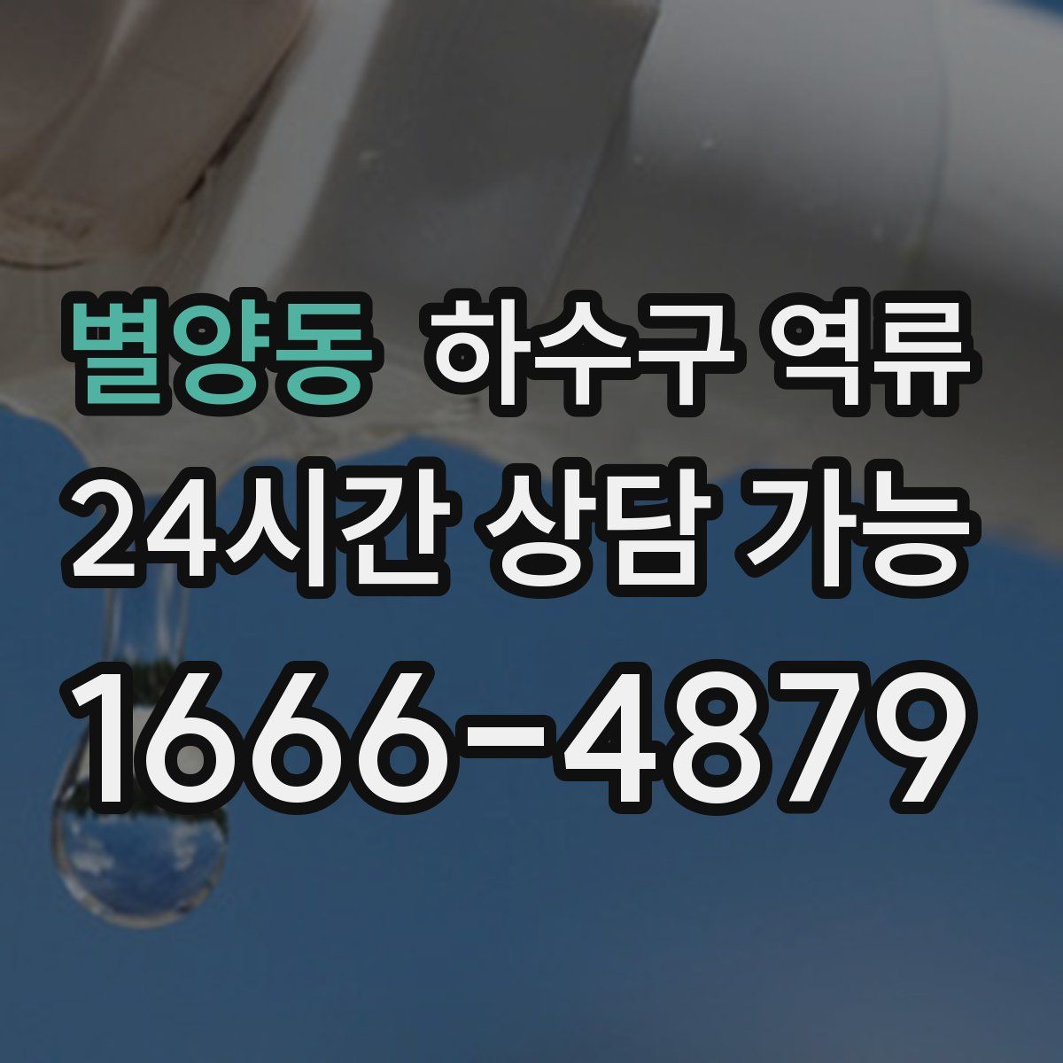 별양동 하수구 역류