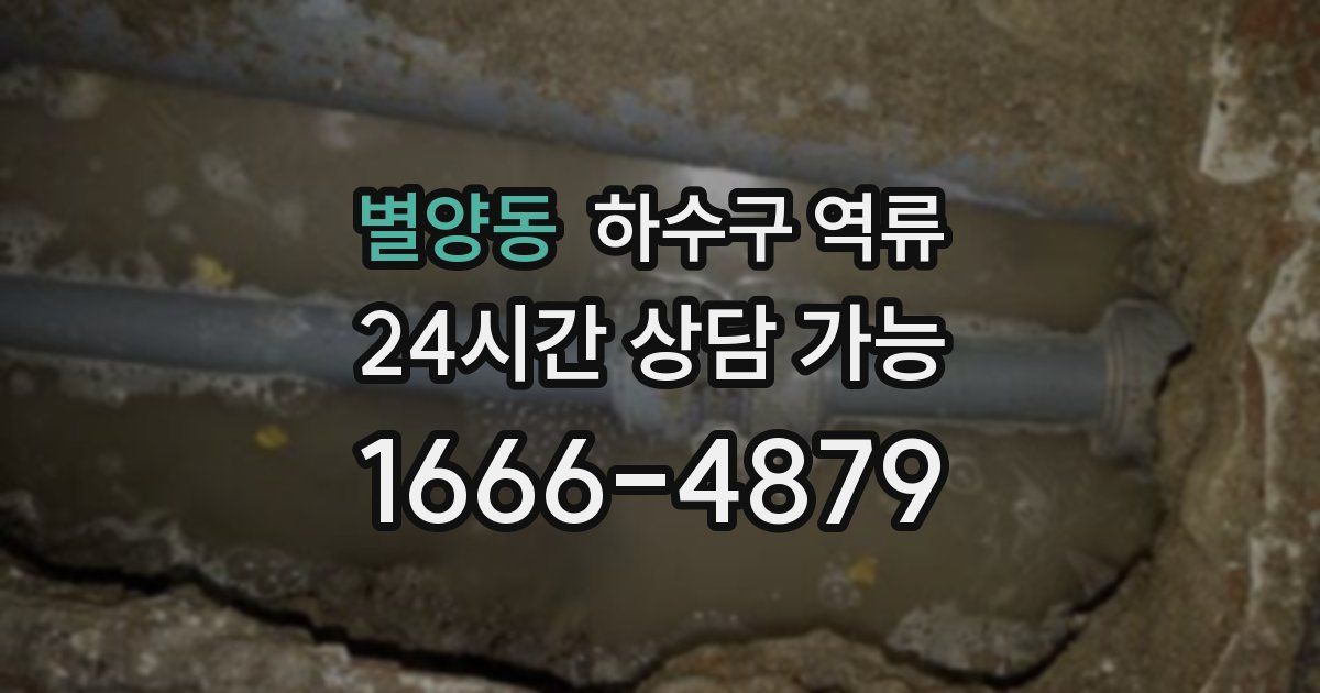 별양동 하수구 역류