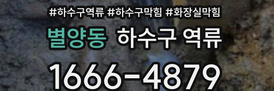 별양동 하수구 역류