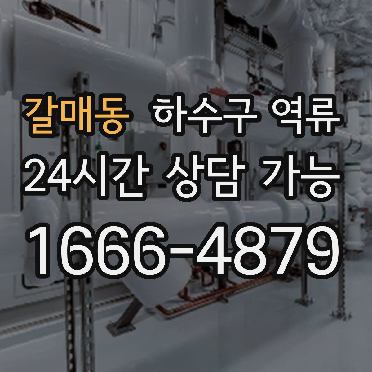 갈매동 하수구 역류