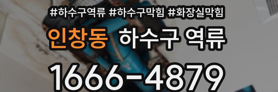 인창동 하수구 역류