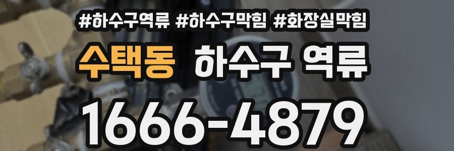 수택동 하수구 역류