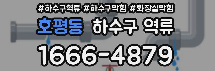 호평동 하수구 역류