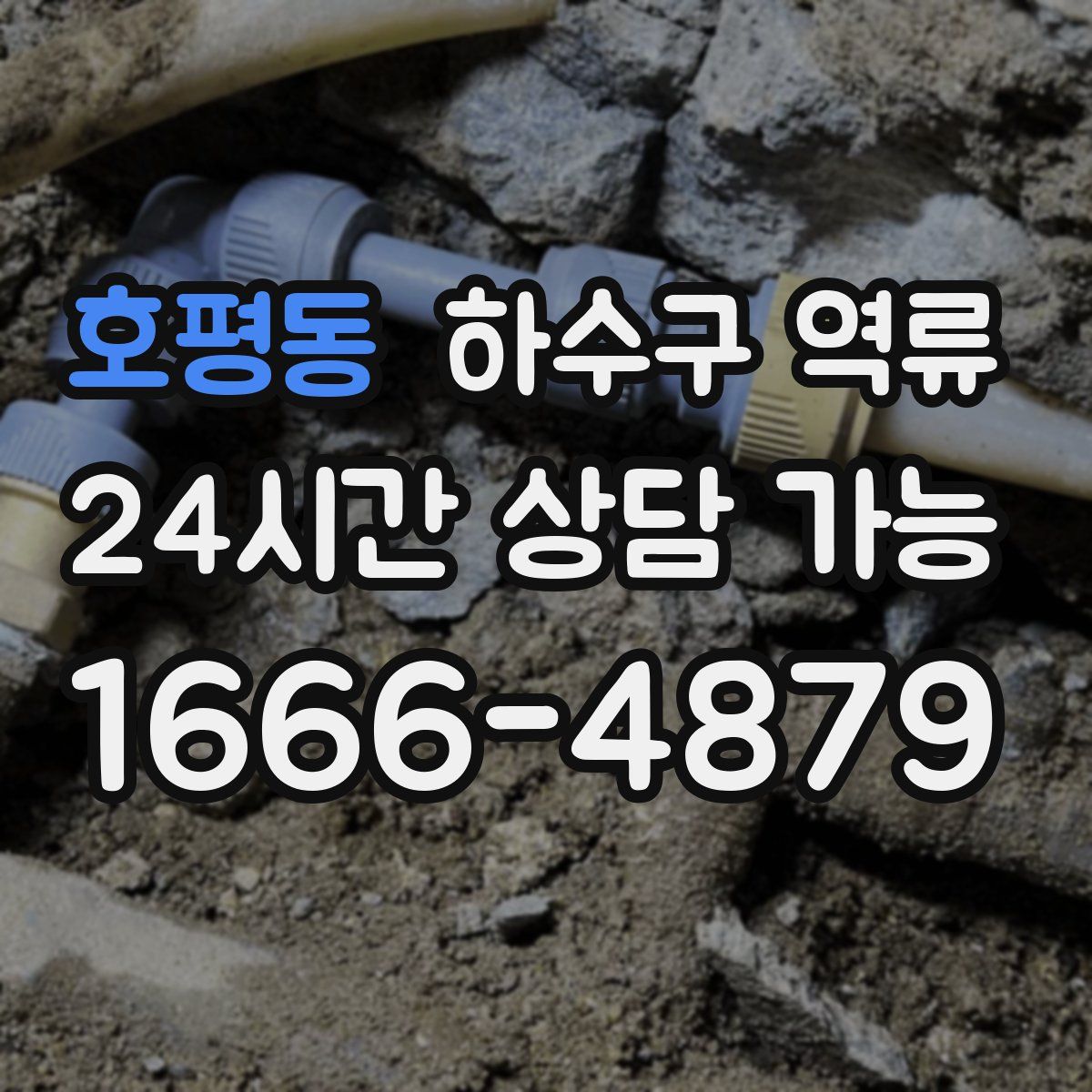 호평동 하수구 역류