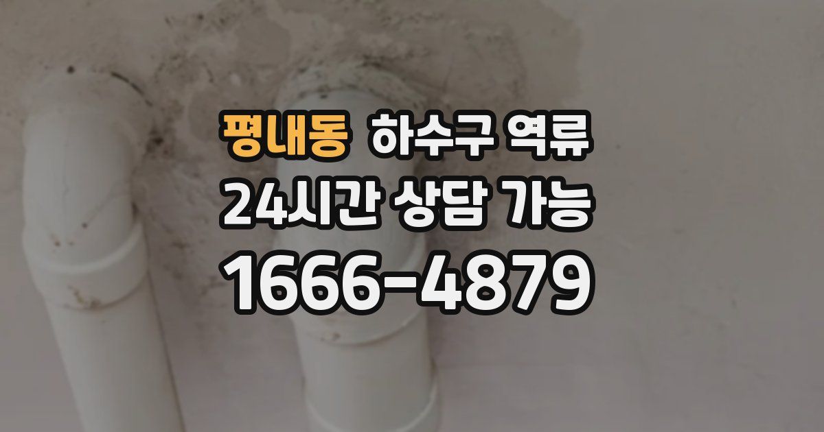 평내동 하수구 역류