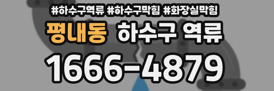 평내동 하수구 역류