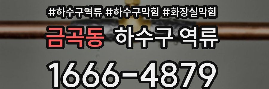 금곡동 하수구 역류