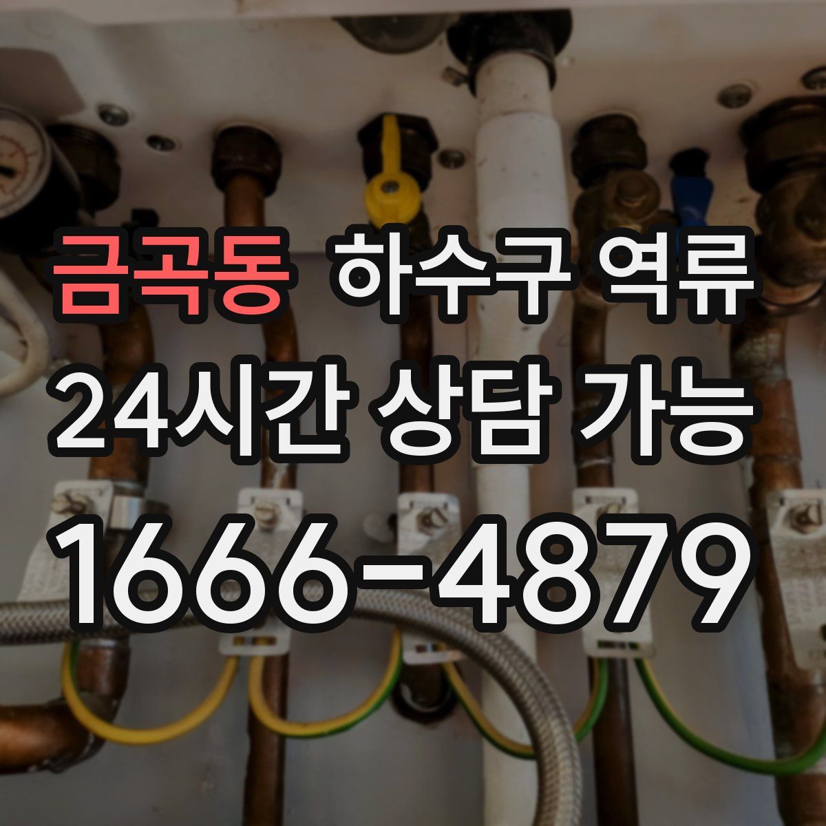 금곡동 하수구 역류