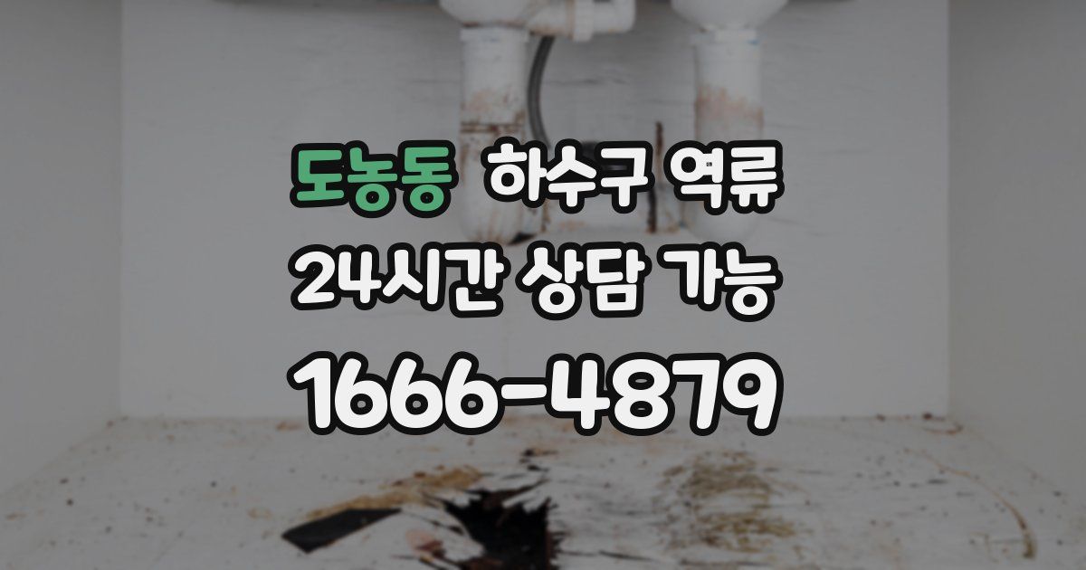 도농동 하수구 역류